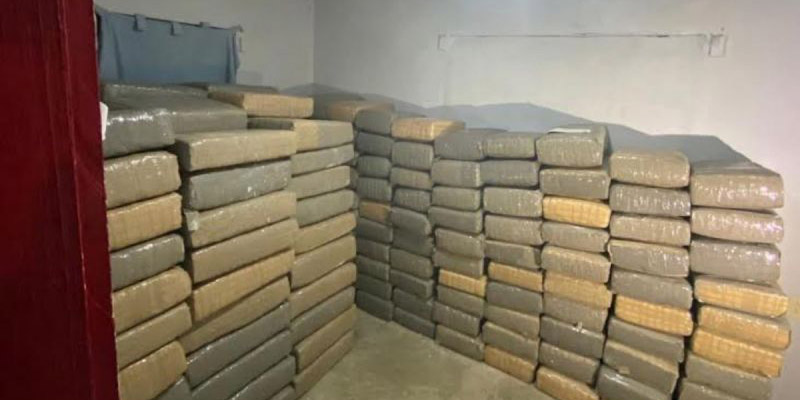 Aseguran casi dos toneladas de mariguana en una casa de seguridad en Tamaulipas
