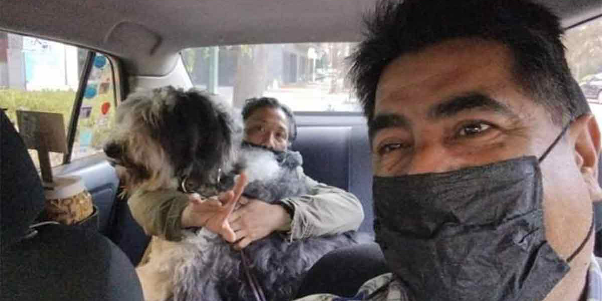 ¡Qué perrón! Taxista se hace viral por dar viajes para mascotas | El Imparcial de Oaxaca ¡Qué perrón! Taxista se hace viral por dar viajes para mascotas | El Imparcial de Oaxaca
