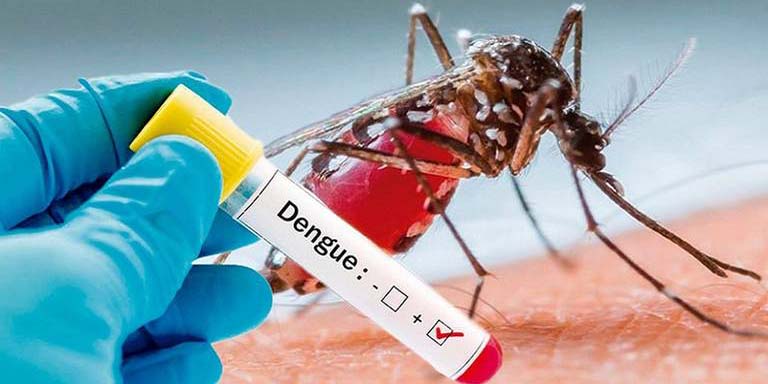 Notifican cuatro  casos de dengue en las primeras  semanas de 2022 | El Imparcial de Oaxaca