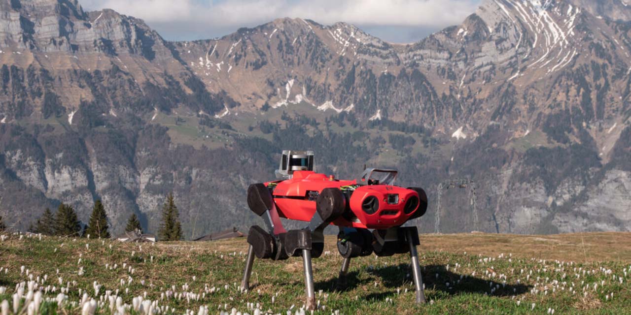 Un robot cuadrúpedo capaz de subir colinas | El Imparcial de Oaxaca