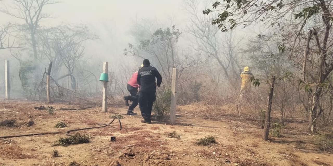 Ardua labor para combatir voraz incendio en Playa Brasil | El Imparcial de Oaxaca