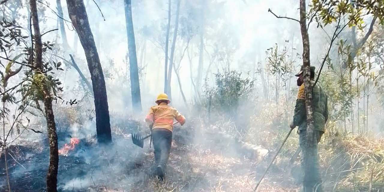 Sin atención, incendio forestal por pleito entre comunidades mixtecas | El Imparcial de Oaxaca