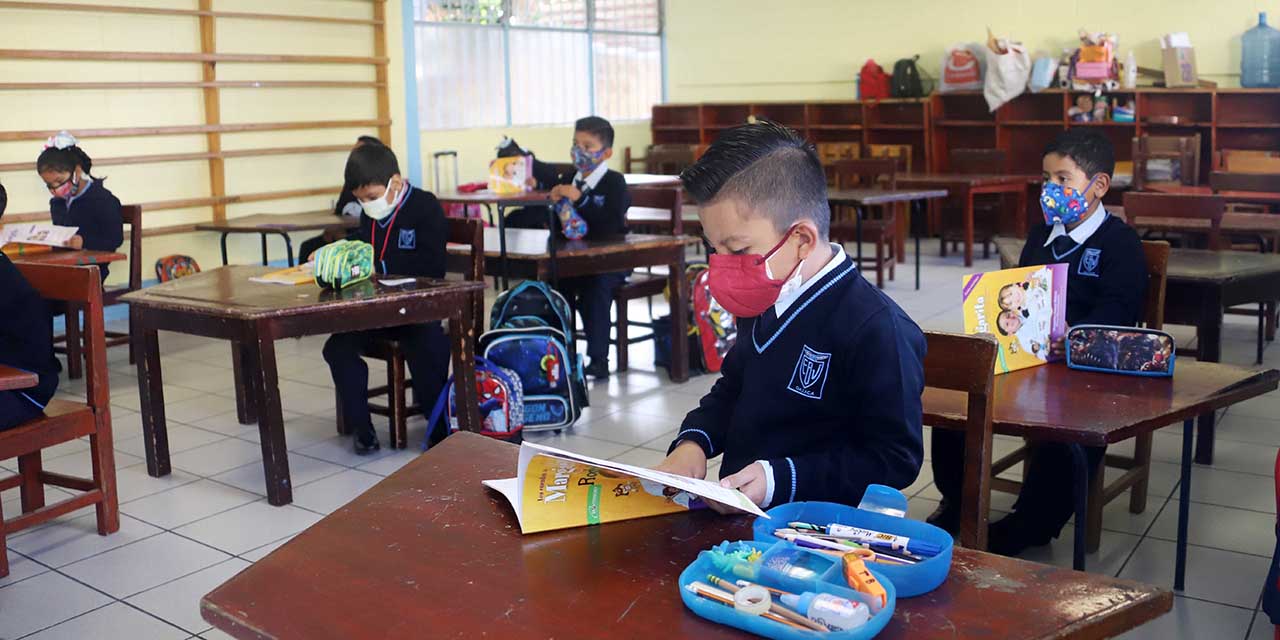 Regresan estudiantes de nivel básico  a clases este lunes 3 de enero: IEEPO | El Imparcial de Oaxaca
