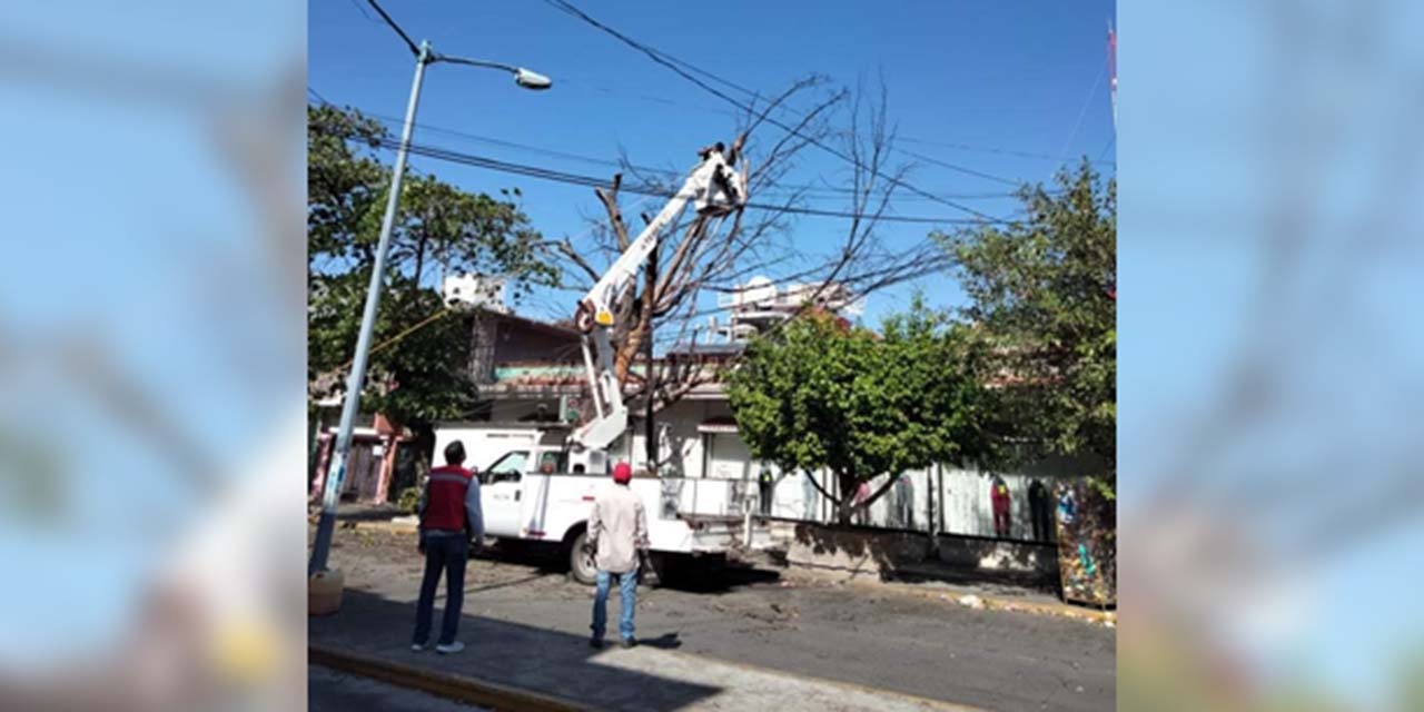 Atienden emergencias por fuertes vientos