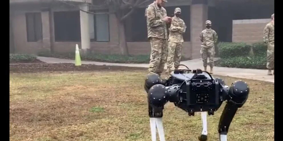 ¿Perros robot militares y con misiones espaciales? | El Imparcial de Oaxaca