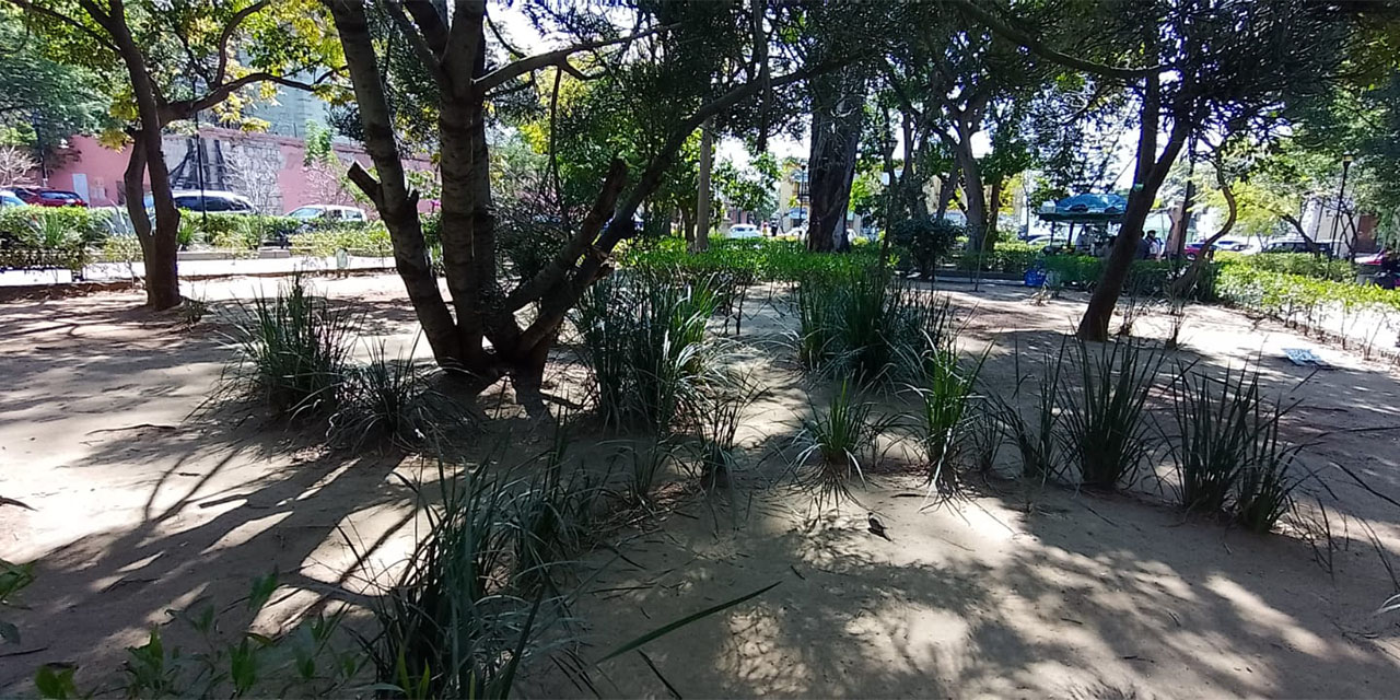 En completo abandono, jardineras y bancas del parque El Llano