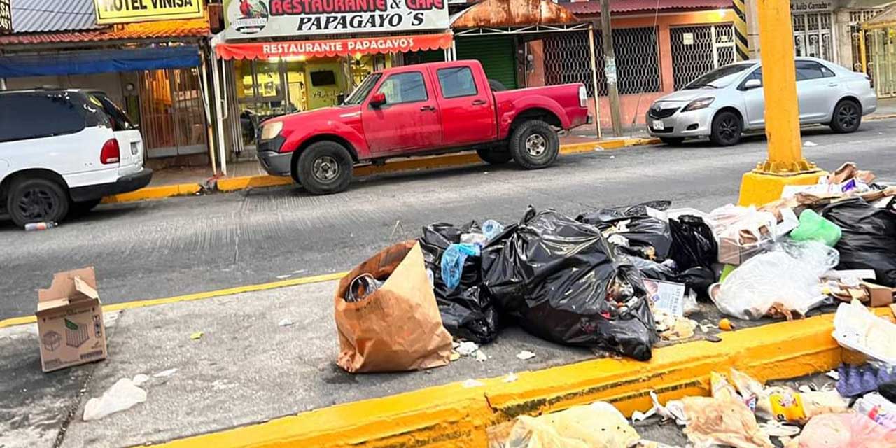 Paro de labores por 4 mdp afecta limpia en Salina Cruz | El Imparcial de Oaxaca