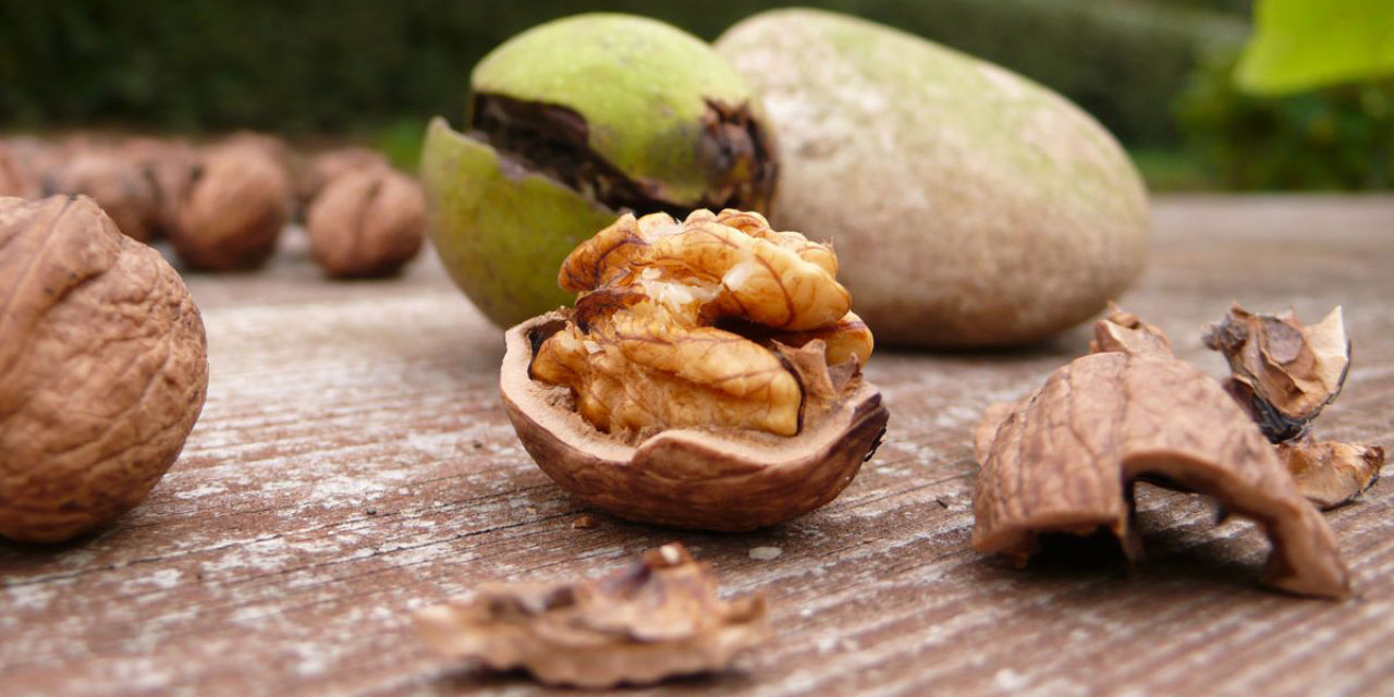 Este es el fruto seco que alargará tu vida, confirma estudio | El Imparcial de Oaxaca