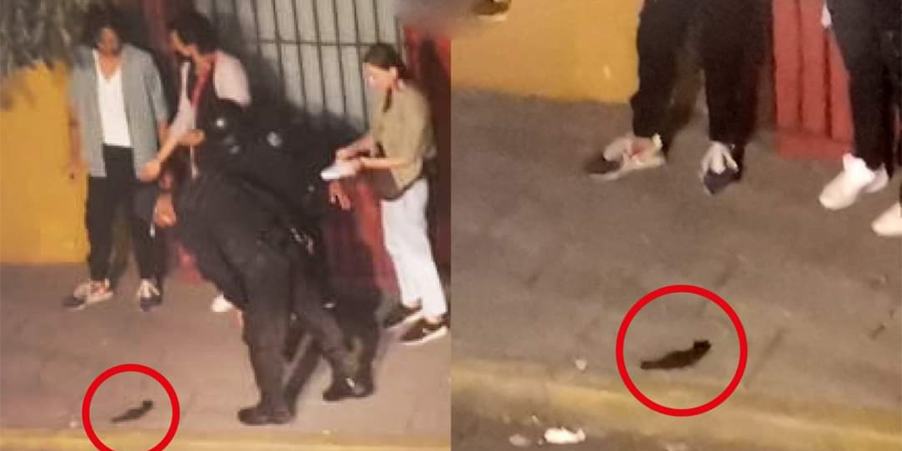 ¡Golpeado con saña en la Central de Abasto!