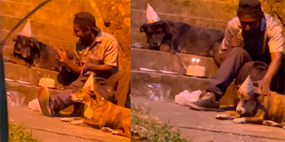 VIDEO: Hombre sin hogar festejó el cumpleaños de sus perritos