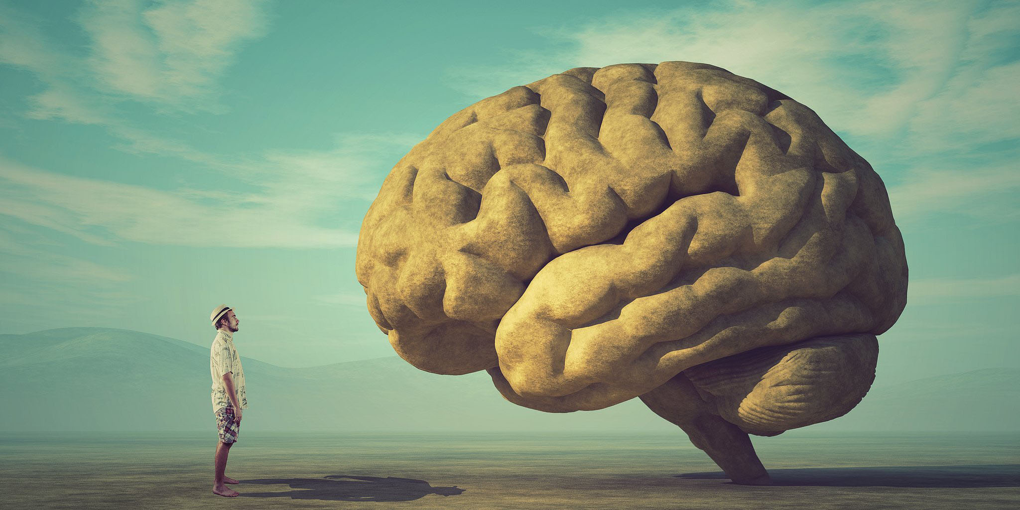 El cerebro y la toma de decisiones: ¿es mejor guiarse por la lógica o por las emociones? | El Imparcial de Oaxaca
