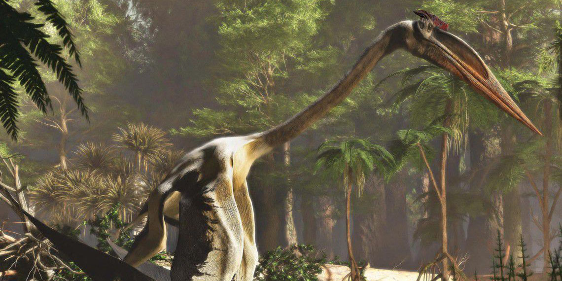 Hallaron los restos del pterosaurio jurásico más grande del mundo | El Imparcial de Oaxaca