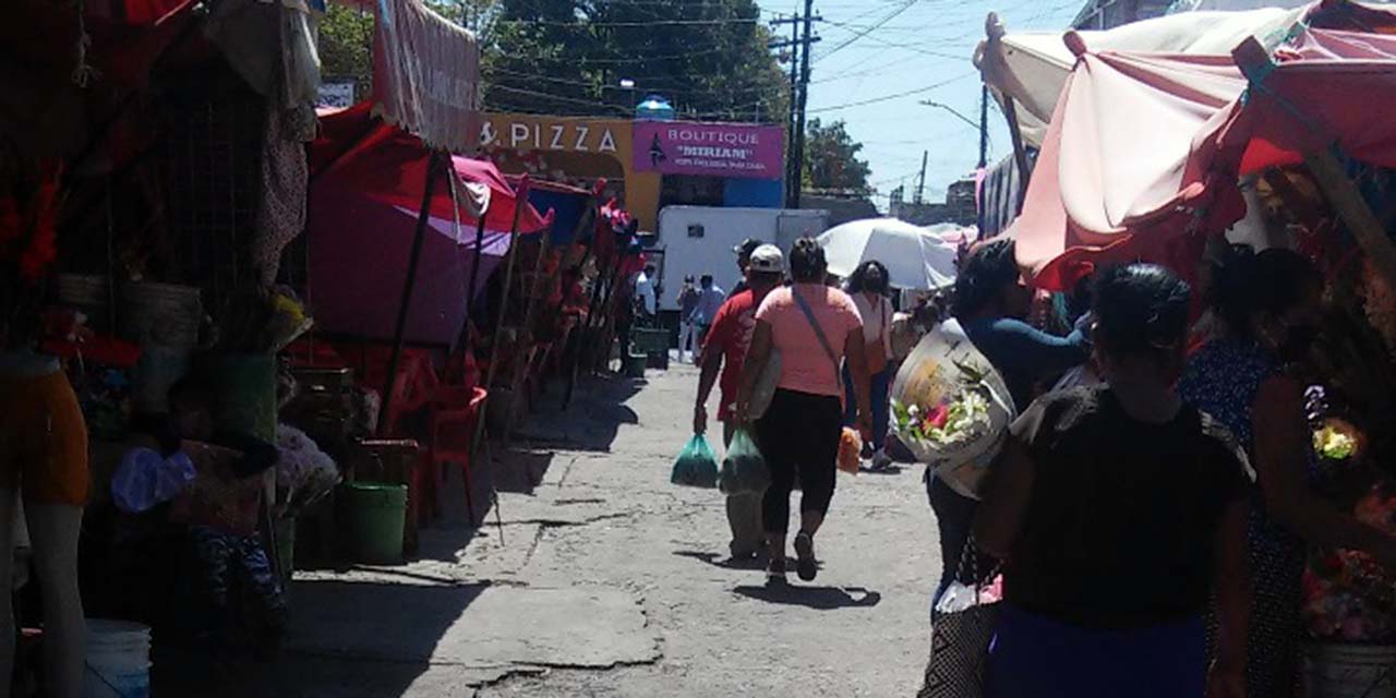 Piden fumigar el mercado central de Tehuantepec y reparar su techo | El Imparcial de Oaxaca