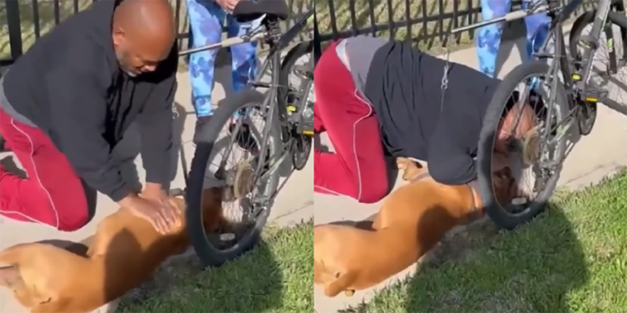 VIDEO: ¡Conmovedor! Hombre le SALVA la VIDA a su perro
