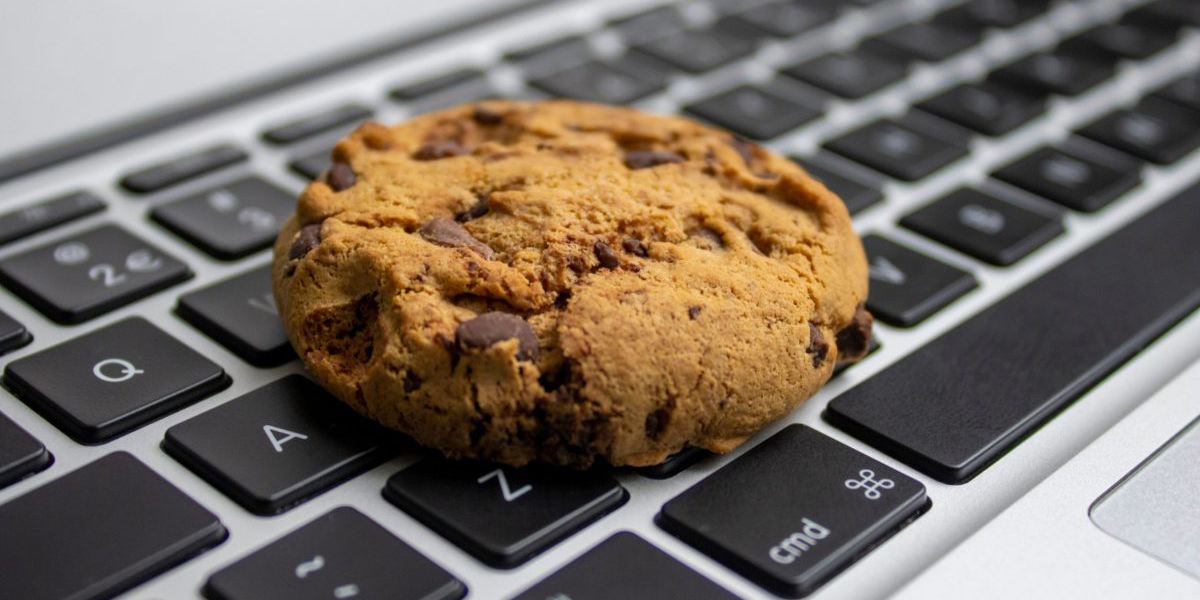 ¿Qué son las cookies que aparecen en los sitios web y para qué sirven? | El Imparcial de Oaxaca