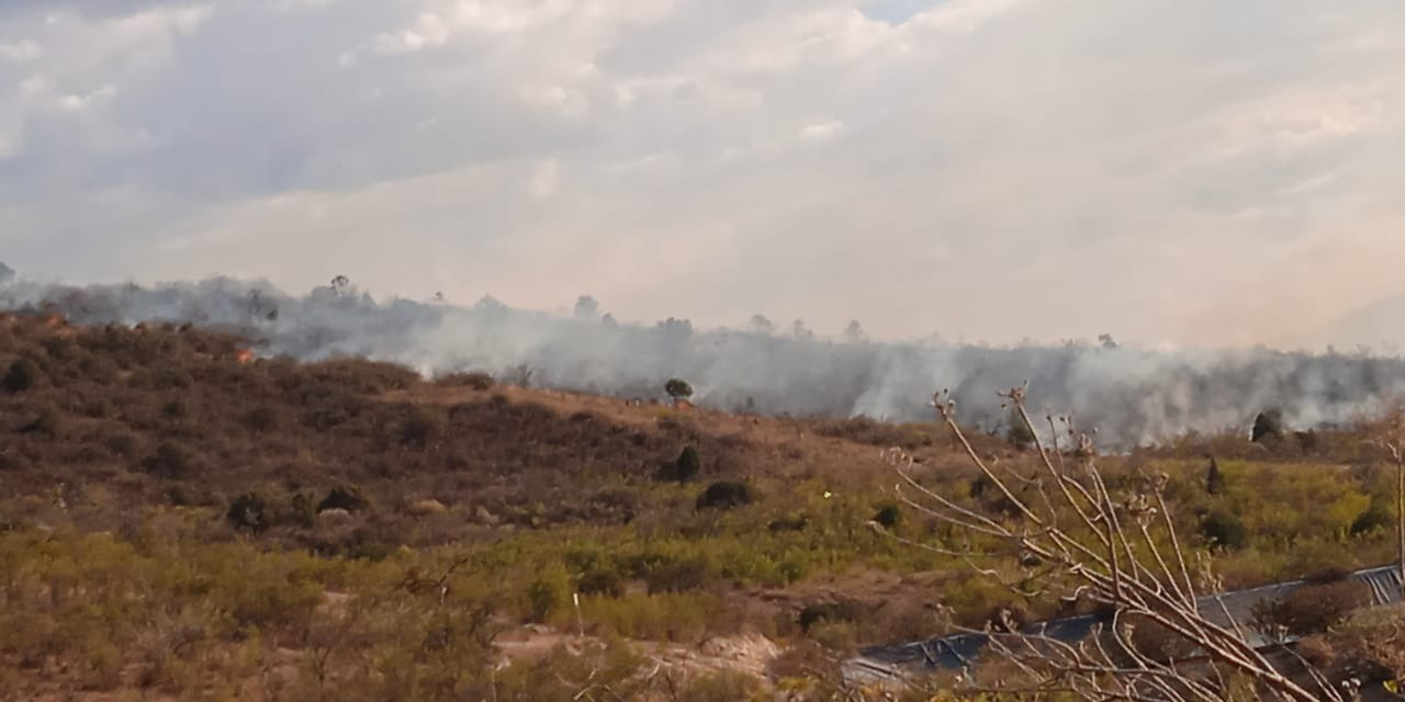 Reportan incendio de pastizales en San Gabriel | El Imparcial de Oaxaca