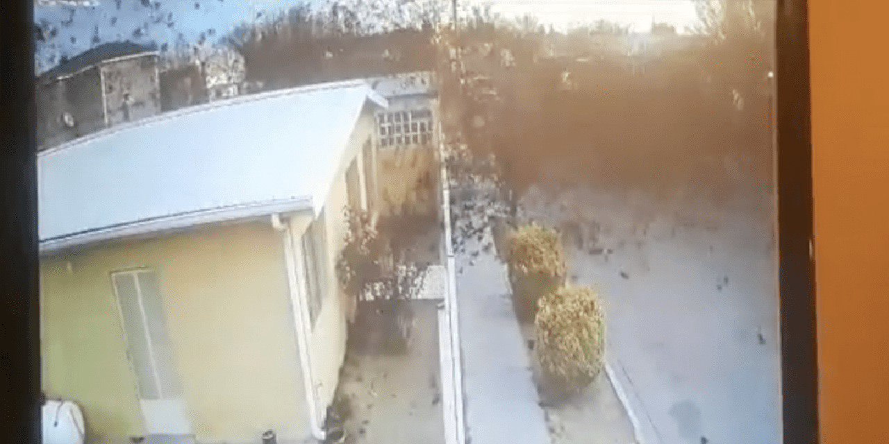 VIDEO: Cientos de aves cayeron muertas