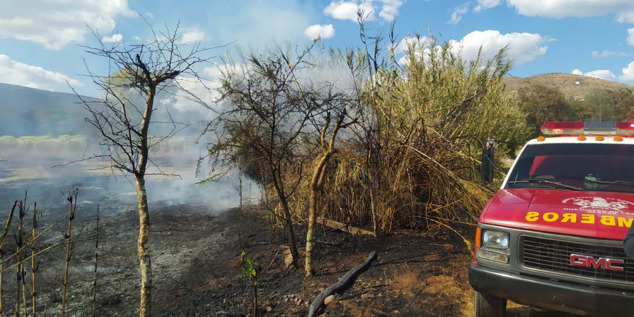 Bomberos sofocan incendio en pastizales | El Imparcial de Oaxaca