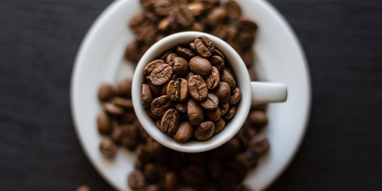 Estos son los increíbles beneficios que el café le puede dar a tu jardín | El Imparcial de Oaxaca