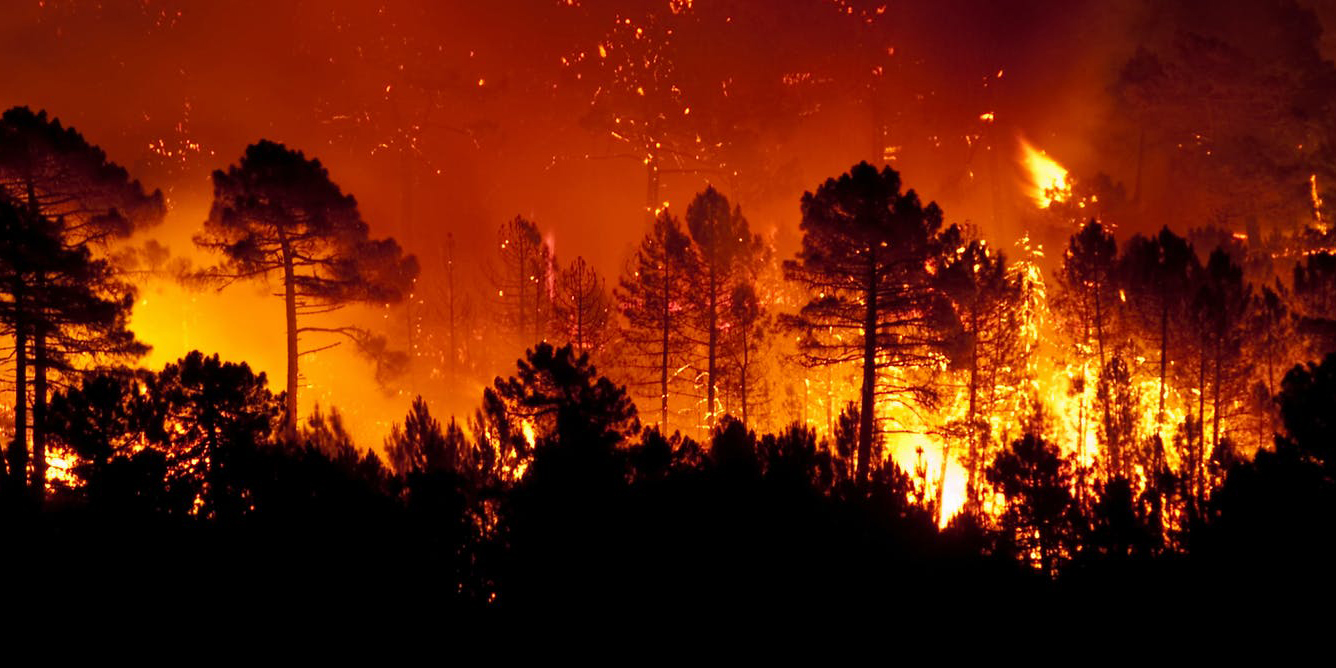 En 2050 habrá 30% más incendios forestales