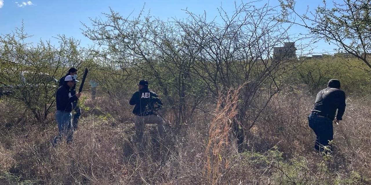 Buscan a persona reportada como desaparecida | El Imparcial de Oaxaca