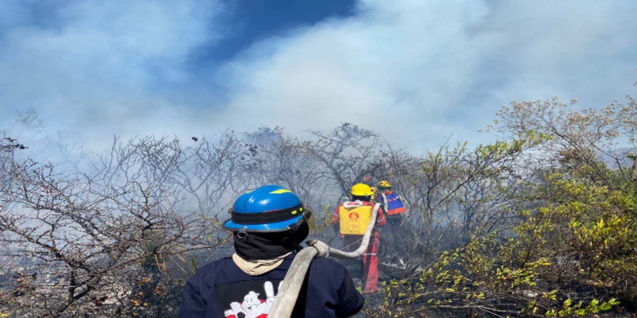 Incendio arrasa con 30 hectáreas de terreno | El Imparcial de Oaxaca