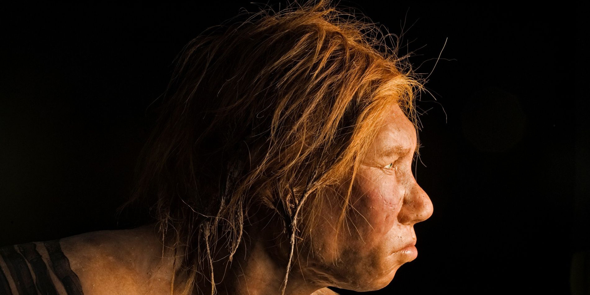 ¿Qué porcentaje de ADN neandertal tienes? La huella genética que te hace vulnerable | El Imparcial de Oaxaca