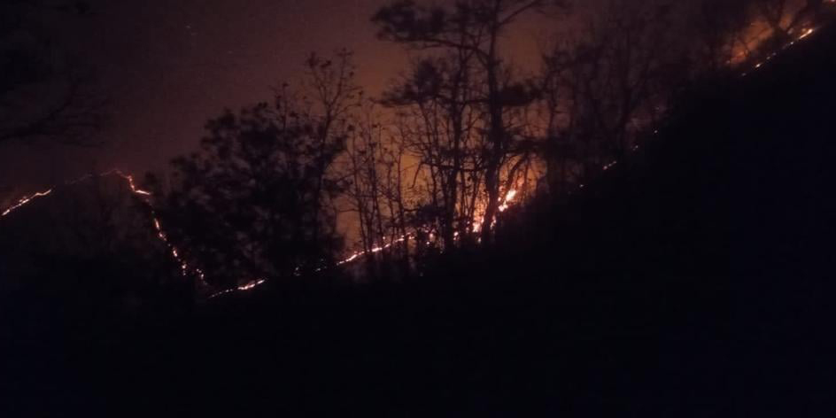 Arden bosques de Tlapacoyan; pobladores demandan ayuda | El Imparcial de Oaxaca