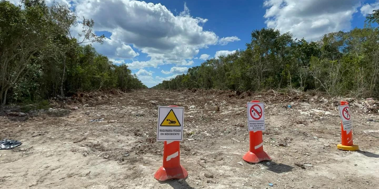 Ambientalistas denuncian tala de árboles en Playa Carmen por nuevo trazo del Tren Maya | El Imparcial de Oaxaca