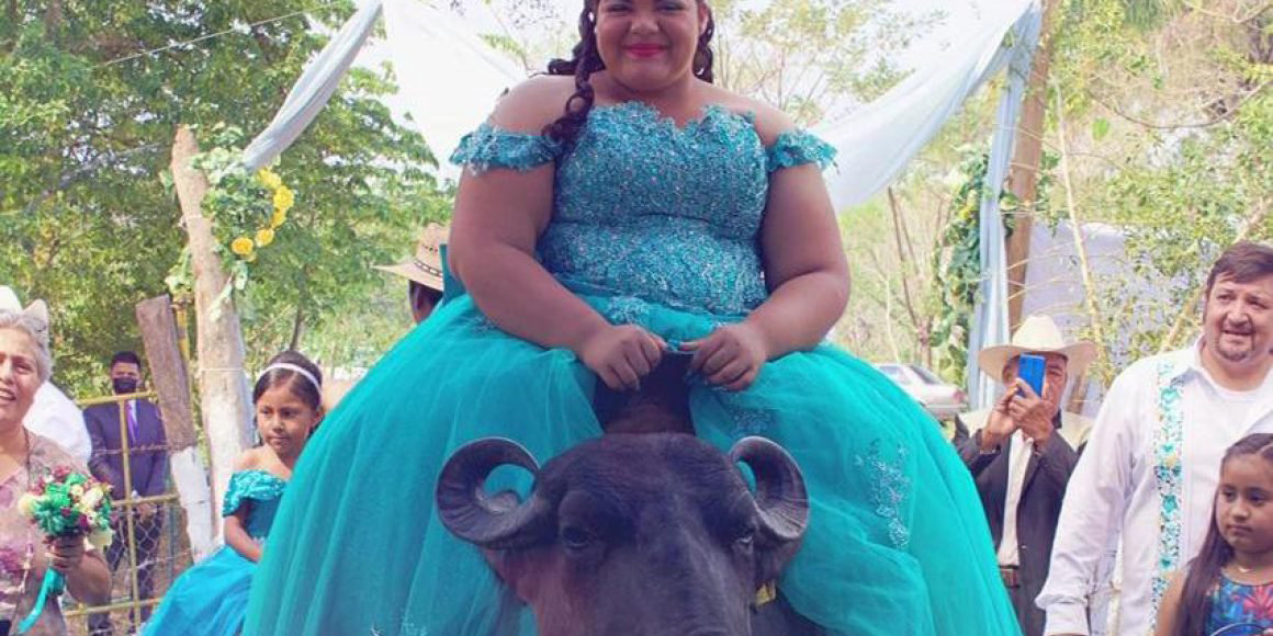 Quinceañera llega a su fiesta montada en un búfalo | El Imparcial de Oaxaca