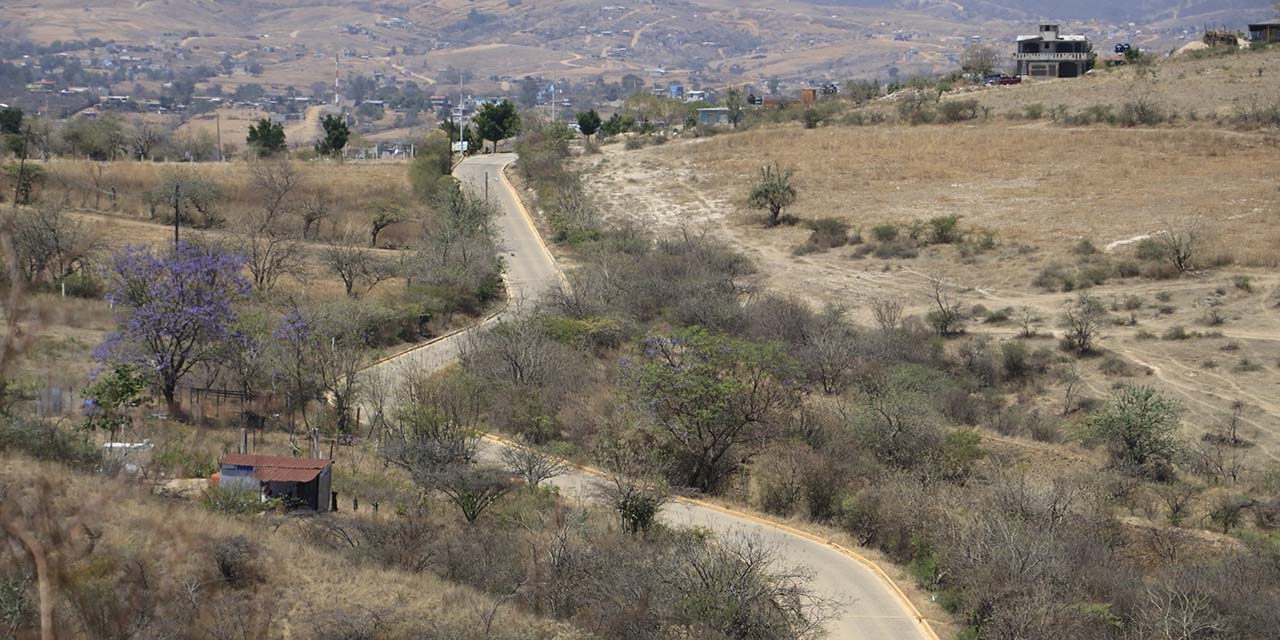 La invasión que está afectando la zona arqueológica de Monte Albán | El Imparcial de Oaxaca