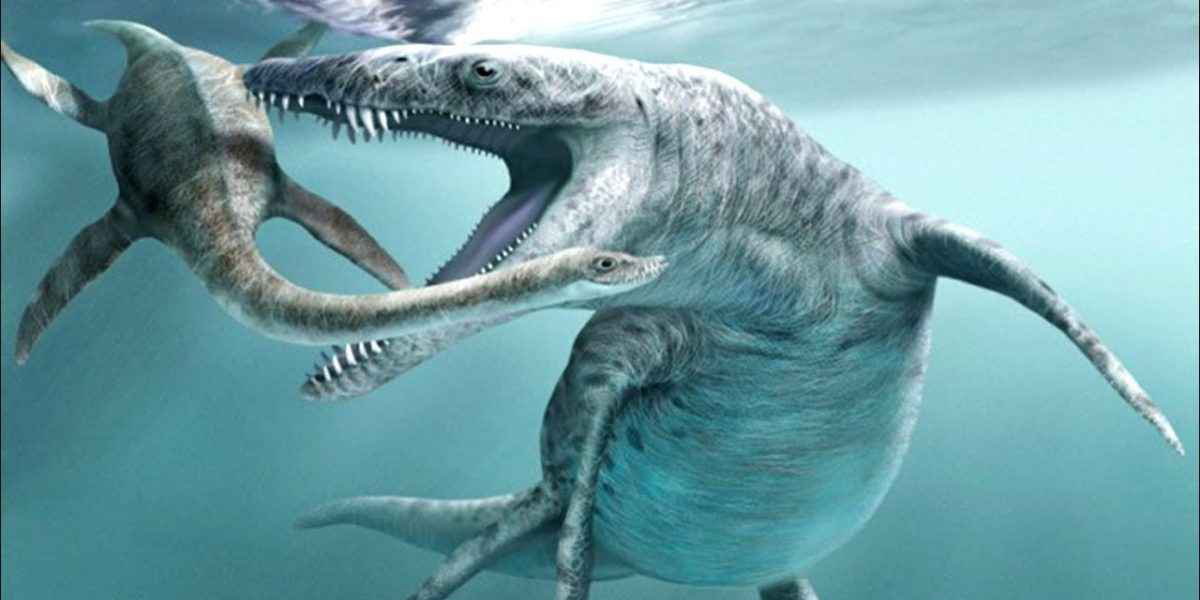 Prueban que el más grande de los dinosaurios carnívoros vivió en el agua |  El Imparcial