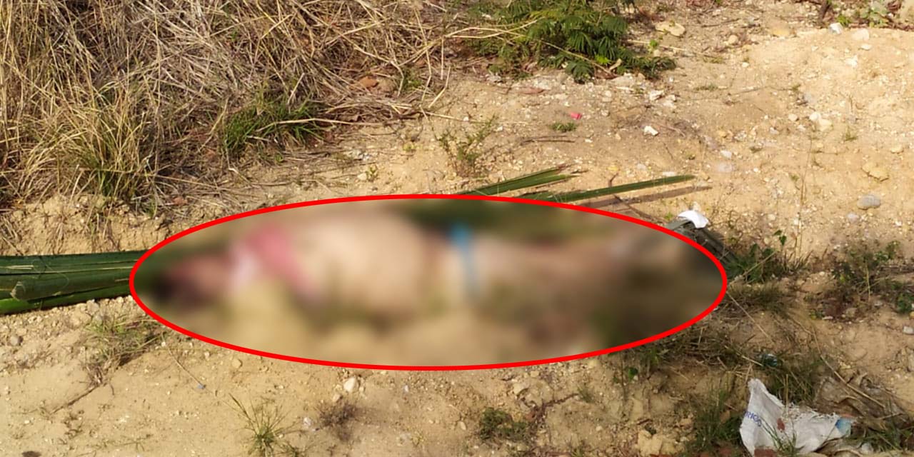 Hallan cadáver de masculino semidesnudo en camino de terracería | El Imparcial de Oaxaca