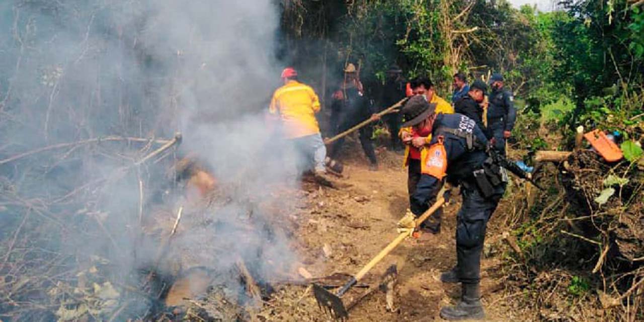 Se prepara Tonameca para combatir incendios en temporada de sequía | El Imparcial de Oaxaca