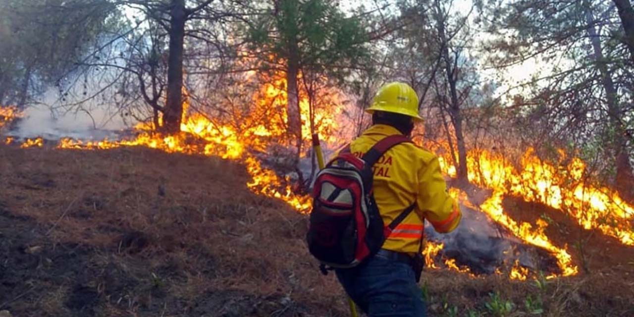 Líos agrarios frenan combate a incendios | El Imparcial de Oaxaca