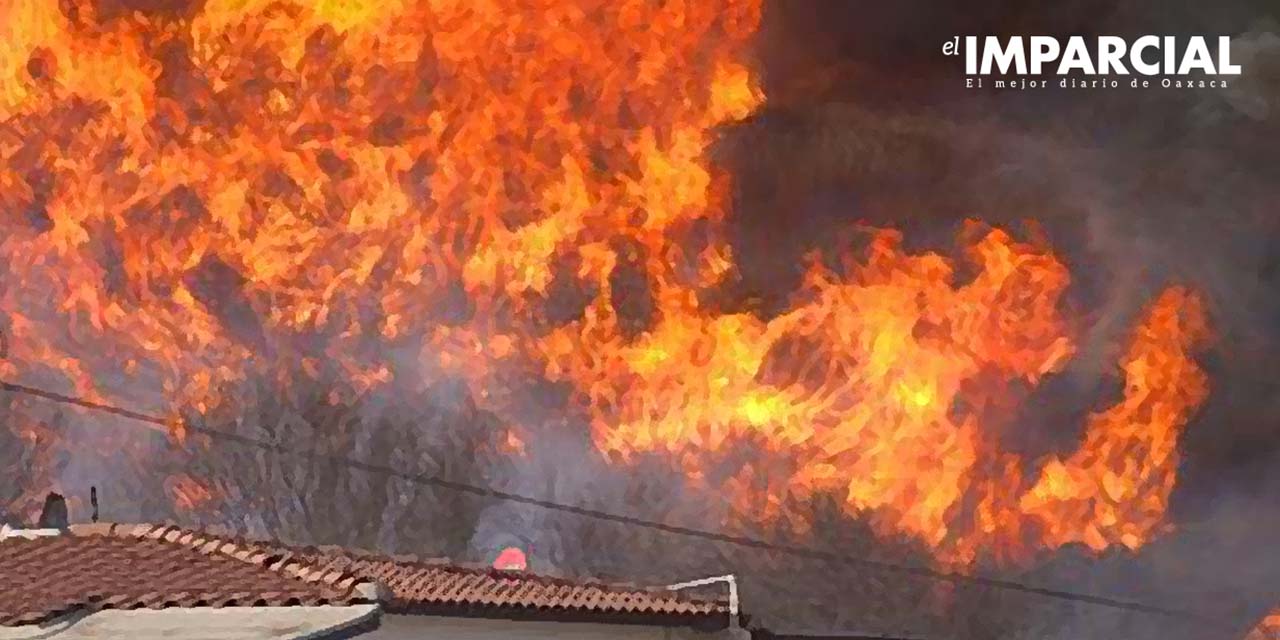 Van 13 incendios y 911 hectáreas dañadas por el fuego | El Imparcial de Oaxaca