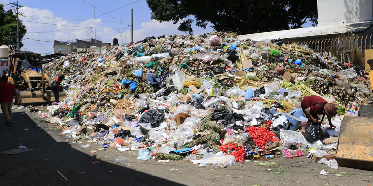 Prevén resistencia ciudadana ante programa de separación de residuos | El Imparcial de Oaxaca