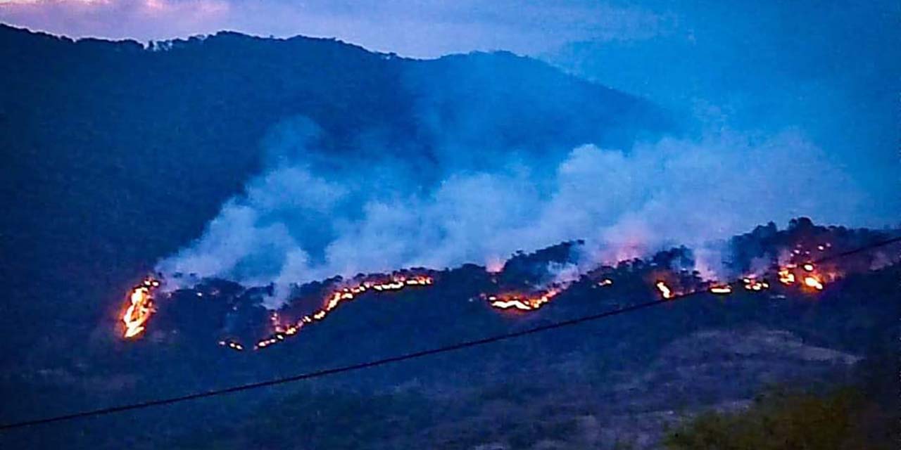 Denuncian de provocar incendio en zona Triqui a organizaciones | El Imparcial de Oaxaca