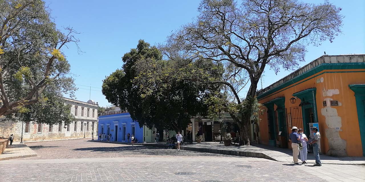 En recuperación paulatina, Jardín El Pañuelito | El Imparcial de Oaxaca