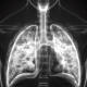 Crean método a partir de gusanos para el diagnóstico del cáncer de pulmón
