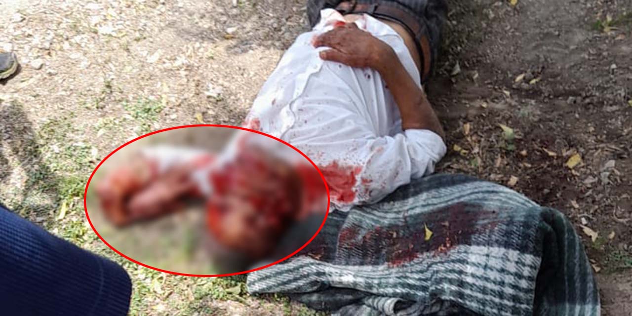 Asesina a su padre a machetazos | El Imparcial de Oaxaca
