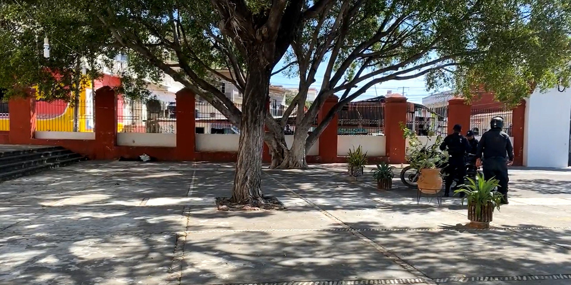 Lo ejecutan en el atrio de la Catedral de Tehuantepec | El Imparcial de Oaxaca
