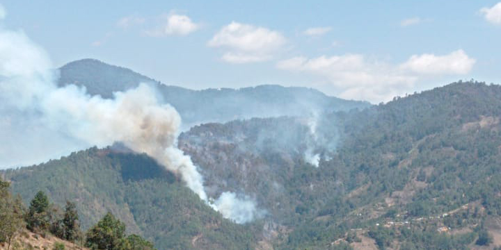 Alarma por incendio forestal en San Andrés Paxtlán y Río Hondo | El Imparcial de Oaxaca
