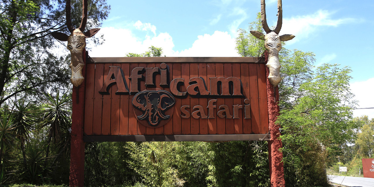 El trágico desenlace del creador de Africam Safari en Puebla | El Imparcial de Oaxaca