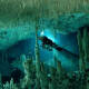 Buzo descubrió la cueva acuática más grande del mundo, está llena de misterios mayas