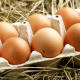 ¿Dónde guardas los huevos, dentro o fuera del refrigerador?