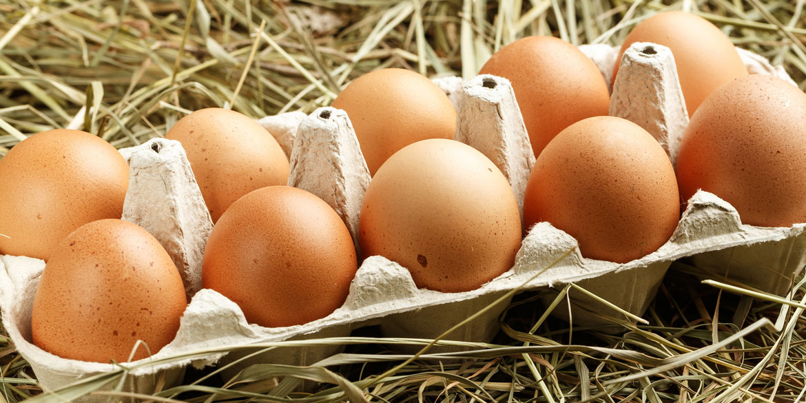 ¿Dónde guardas los huevos, dentro o fuera del refrigerador? | El Imparcial de Oaxaca