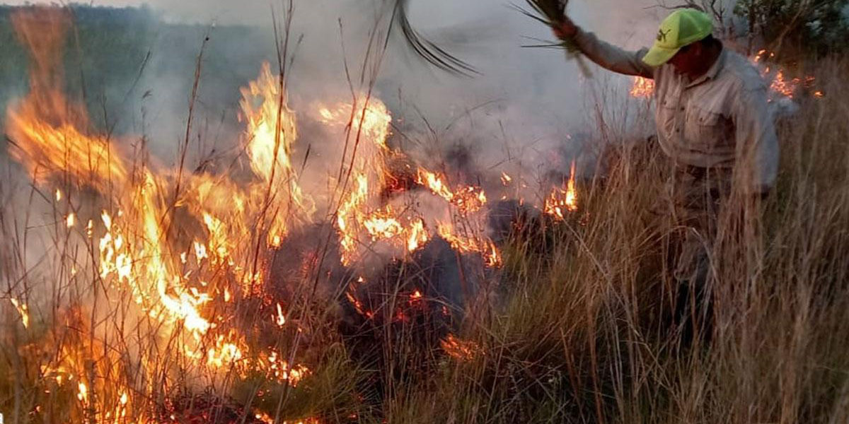 Descubren que el humo liberado por los incendios forestales destruye el ozono | El Imparcial de Oaxaca