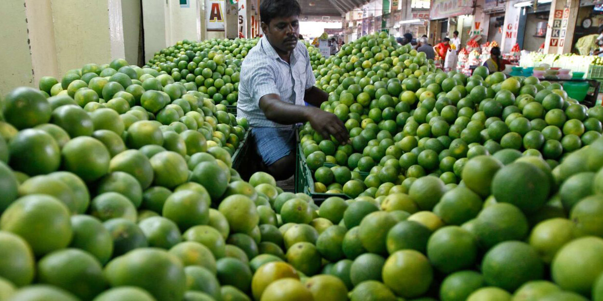 Venden kilo de limón hasta en 103 pesos | El Imparcial de Oaxaca