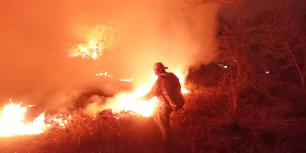 Activos tres incendios forestales; el de Tlapacoyan, bajo control | El Imparcial de Oaxaca